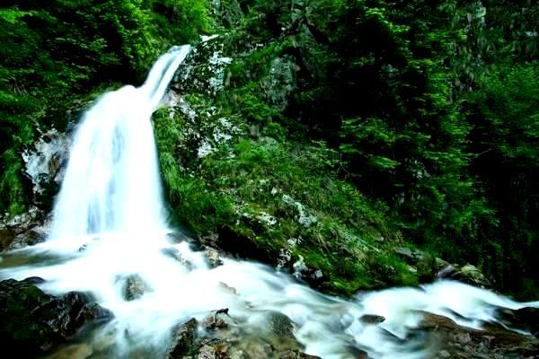 我国芯片产业秩序整顿持续深化，民族品牌竞争力显著提升